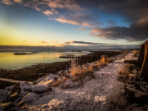 a beach with a body of water and some rocks at Bakki Apartments & Hostel in Eyrarbakki