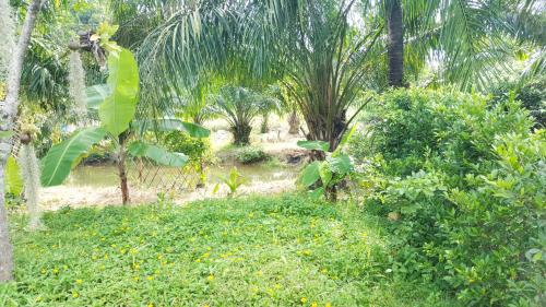 a garden with trees and yellow flowers and plants at Home No.9 in Ko Lanta