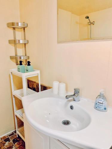 a bathroom with a white sink and a mirror at Budapest Three Cats Hostel in Budapest