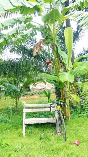 a bike parked next to a bench next to a tree at Home No.9 in Ko Lanta