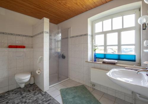 a bathroom with a shower toilet and a sink at Bibis Hus in Pellworm
