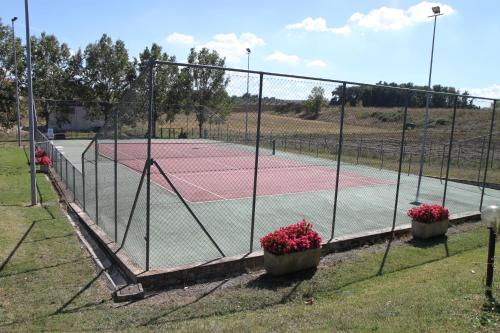 a tennis court with two potted plants and a fence at Agriturismo Verbena in Castiglione del Lago