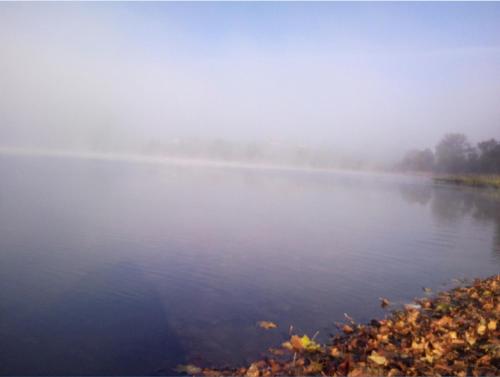 a misty lake in the fall with leaves on the shore at Fajne Miejsce in Jeziorany