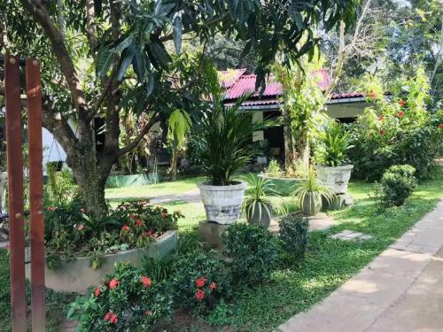a garden with flowers and plants in front of a house at Bangalawa Resort in Habarana
