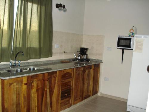 a kitchen with a sink and a microwave at Terrazas al Valle in San Rafael