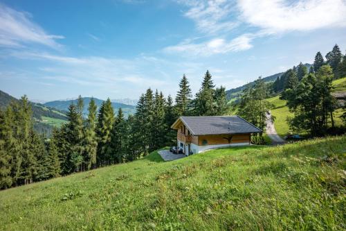 a small house on a hill in a field at Chalet Alpenherz in Kirchberg in Tirol
