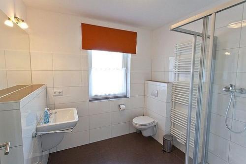 a bathroom with a toilet and a sink and a shower at Haus Zweischlaefer in Dreschvitz