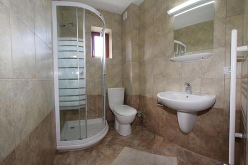 ein Bad mit einem WC, einem Waschbecken und einer Dusche in der Unterkunft Hotel Paltinis in Statjunea Borsa