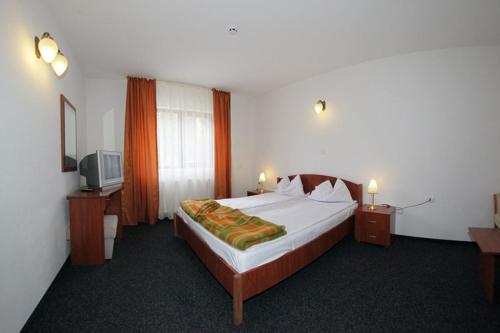 ein Hotelzimmer mit einem Bett und einem TV in der Unterkunft Hotel Paltinis in Statjunea Borsa