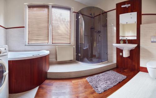 a bathroom with a shower and a sink at Apartament Królewski in Sandomierz