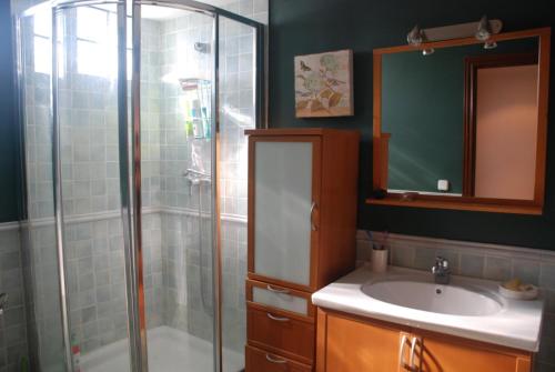 ein Badezimmer mit Dusche, Waschbecken und Spiegel in der Unterkunft Riojano y Coqueto in Logroño