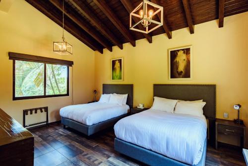 1 dormitorio con 2 camas y lámpara de araña en Loto Azul Hotel & Spa en Valle de Bravo