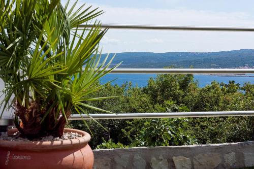 House Ceca – Photos 4