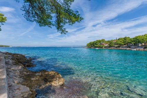 a view of a body of water with trees at Apartment Vesna in Milna