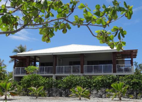 a house on the beach with trees at Pension Tiputa Lodge Rangiroa in Tiputa