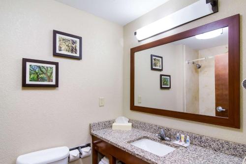 A bathroom at Comfort Inn Blackshear Hwy 84