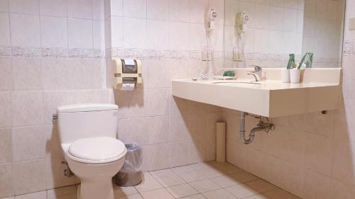 a bathroom with a toilet and a sink at Green World Flora Annex in Taipei