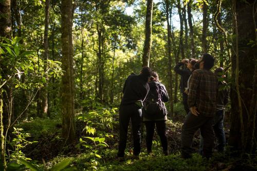 um grupo de pessoas tirando fotos na floresta em Cedrela Eco-Lodge & Restaurante em Copey