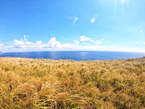 a field of grass with the ocean in the background at Lanyu Starrynight Homestay in Lanyu