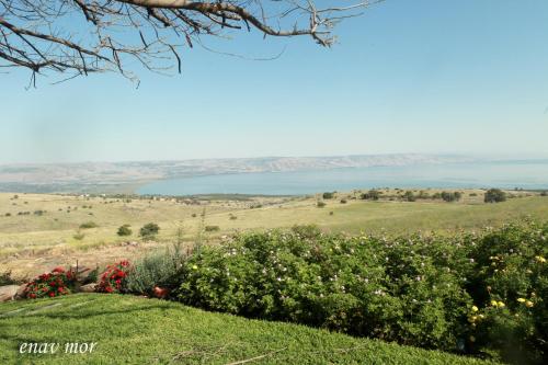 a view of the ocean from a hillside at Sea Of Galilee Site in Chorazim