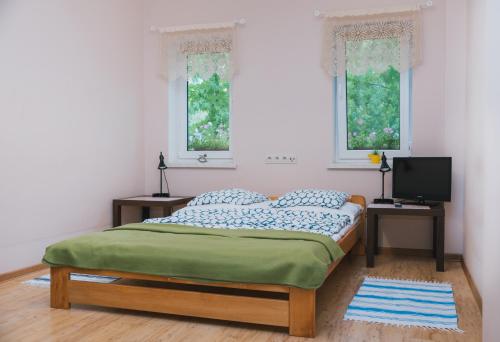 a bedroom with a bed and two windows at Agroturystyka Pod Modrzewiami in Nowy Tomyśl