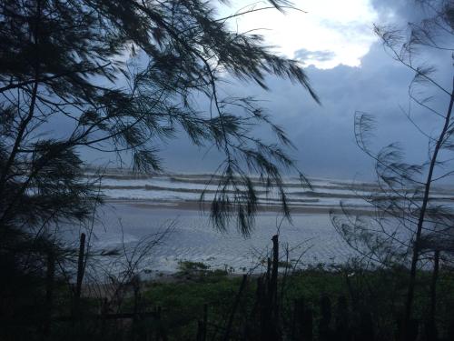 a view of a beach with the ocean at OmBodhi Retreat in Kumta