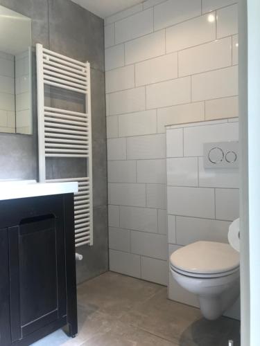 a bathroom with a toilet and a sink at Aan de Wiericke in Driebruggen