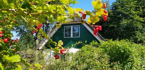 a small green house in the middle of some trees at Salland Vakantie in Heeten