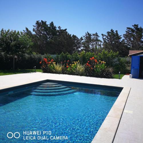 a swimming pool with blue water in a yard at Appartamenti San Lorenzo Marzamemi Cecilia in San Lorenzo