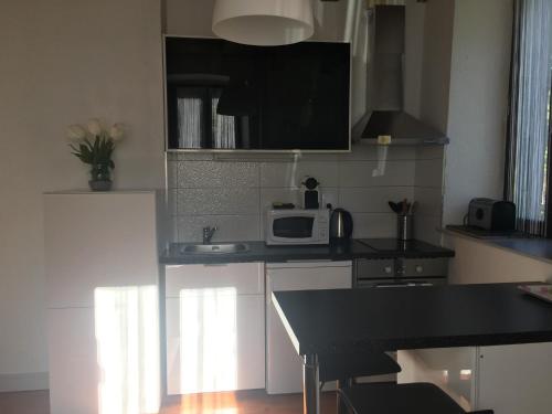 une cuisine avec un comptoir noir et un four micro-ondes dans l'établissement A coté de Genève 2, à Saint-Cergues