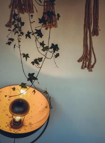 a lamp on a table with bats on a wall at Colonie 7 - Gastenkamers in Merksplas