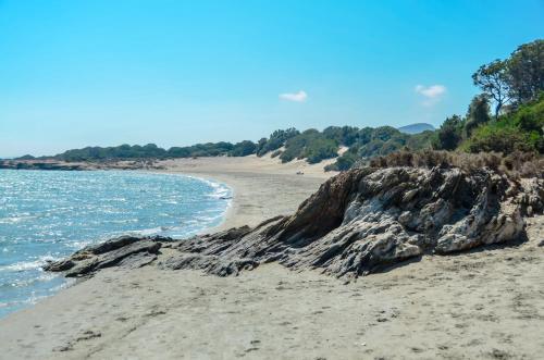 Φυσικό τοπίο κοντά σε αυτό το διαμέρισμα
