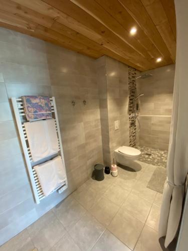 bagno con lavandino e servizi igienici in camera di Coté Tiretaine a Orcines