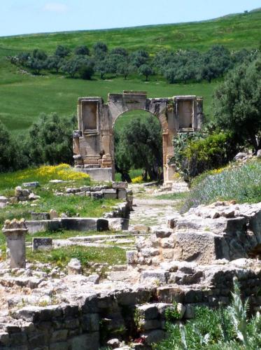 ancient ruins of a building in a field at VILLA EDO in Gammarth