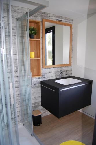 une salle de bain avec un lavabo noir et un miroir dans l'établissement Tiny House sur la cote bretonne, à Cléder