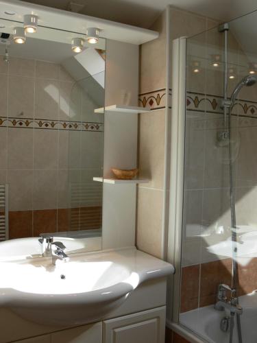 a bathroom with a sink and a shower at Logis Hotels Le Champalud Restaurant La Citadelle in Champtoceaux