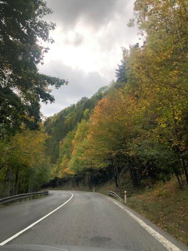 Φυσικό τοπίο κοντά σε αυτό το διαμέρισμα