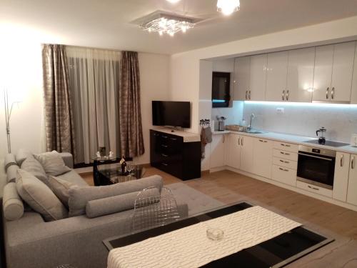 Cuisine ou kitchenette dans l'établissement Kallas lux apartman