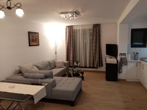 un salon avec un canapé et une table dans l'établissement Kallas lux apartman, à Kopaonik