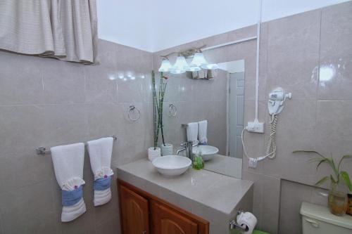 a bathroom with a sink and a mirror at Rainforest Haven Inn in San Ignacio