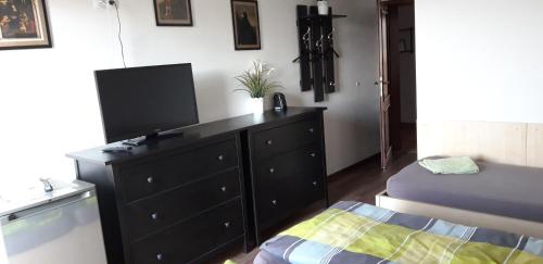 a bedroom with a dresser with a television and a bed at Ubytování pod Pálavou in Horní Věstonice