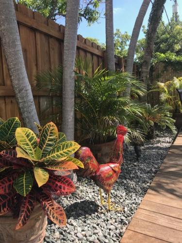 two chickens are standing in a garden near a fence at Little havana paradise in Miami