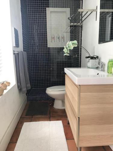 La salle de bains est pourvue de toilettes, d'un lavabo et d'une douche. dans l'établissement Little havana paradise, à Miami
