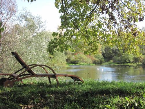 a bench sitting in the grass next to a river at Hotel Le Caballin in Vogelgrun