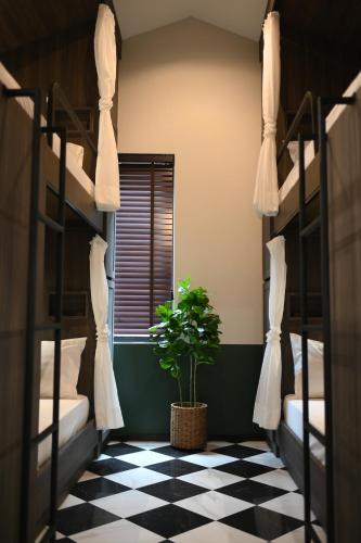 a room with two bunk beds and a potted plant at KLYDE Boutique - Chatuchak in Bangkok