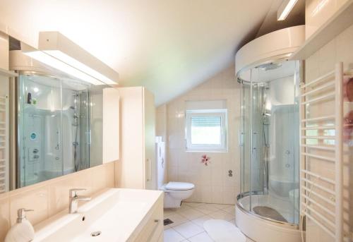 uma casa de banho com um chuveiro, um WC e um lavatório. em Kuća za odmor Nature em Cerje
