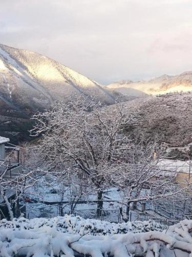 a snow covered field with trees and mountains in the background at Alagonia Country Homes in Alagonía