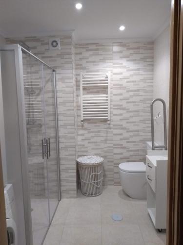 a bathroom with a shower and a toilet and a sink at Apartamento primera línea playa d samil in Vigo