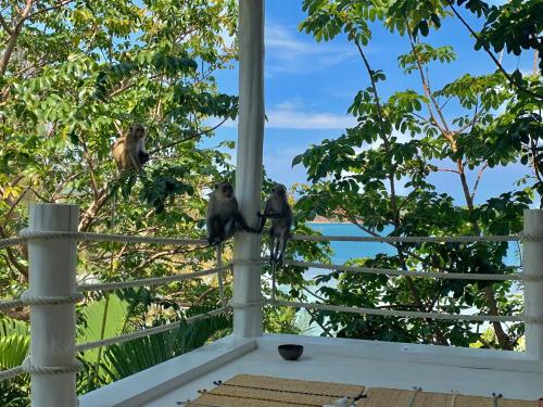 three monkeys sitting on a fence on a porch at Coconut Beach Bungalows in Chaloklum