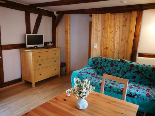 ein Wohnzimmer mit einem Sofa und einem Tisch in der Unterkunft Bio-Ferienwohnung Ellensohn in Lindau